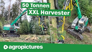 Holzernte XXL – Größter Harvester der Welt  IMPEX Hannibal T50 bei Vieghofer Holz  Forst Doku [upl. by Tivad913]