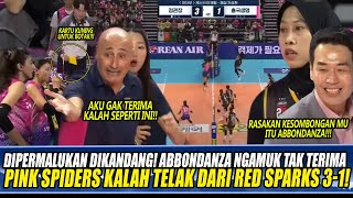 DIPERMALUKAN DIKANDANG❗ABBONDANZA NGAMUK TAK TERIMA PINK SPIDERS KALAH TELAK DARI RED SPARKS 31 [upl. by Aseeral]