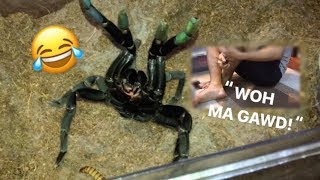 Arachnophobic friend FEEDS my TARANTULAS for the FIRST TIME  “Whoaa my goshhh” [upl. by Dodwell]