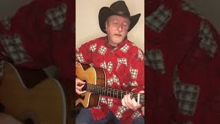 Honky Tonk Badonkadonk  Trace Adkins  Guitar Lesson  Tutorial [upl. by Madra374]