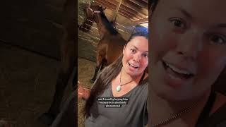 What happened to Jordy horse aqha farmlife horsetype [upl. by Alliehs571]