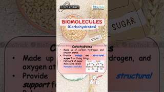 Biological Molecules  IGCSE Biology O amp A Level  Cambridge Biology igcsebiology cambridgebiology [upl. by Pomfret224]