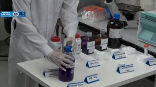 How to prepare Ashdown agar selective media for Burkholderia pseudomallei [upl. by Ayaros]