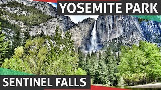 Yosemite National Park Sentinel Falls [upl. by Llecram]