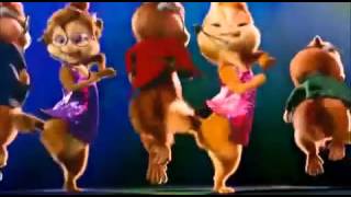 Cute cats dancing on dj vale babu [upl. by Christel]