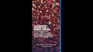 Central Wisconsin cranberry growers say family traditions are strong as harvest continues [upl. by Roselane]