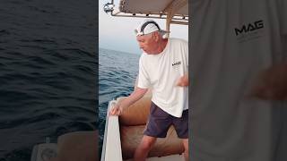 Look what this old man is doing fishing in the sea😱fishvideo fishing seafish foryou seafishing [upl. by Lerner]