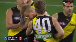 Qualifying Final 2  Geelong v Richmond Highlights [upl. by Tsenre]