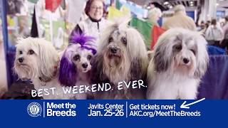 2020 AKC Meet the Breeds [upl. by Chubb]