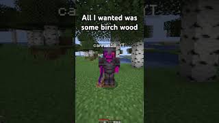 I just wanted some birch wood minecraft camman18 birch trending trendingshorts memes sans [upl. by Maris]