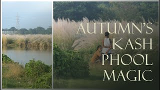 Kash Phool Magic in Autumn  Durga Puja’s Arrival by the River [upl. by Nyrad]