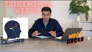 The Trigeminal Nerve  The 5th Cranial Nerve V  MRCS Hacks [upl. by Enaled718]