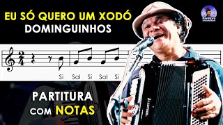 Eu Só Quero Um Xodó  Partitura com Notas Flauta Doce Violino e Playback no Piano Dominguinhos [upl. by Nosyk]