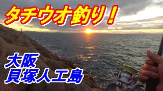 太刀魚釣り！大阪貝塚人工島で太刀魚ワインドワームの釣り2023年11月11日 [upl. by Nonnah274]