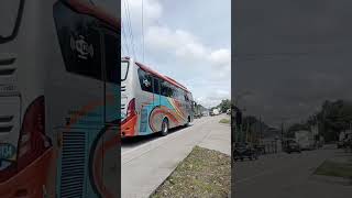 Rosin 3134 suosss rosaliaindah trending viralvideo busmania shorts [upl. by Arimihc327]