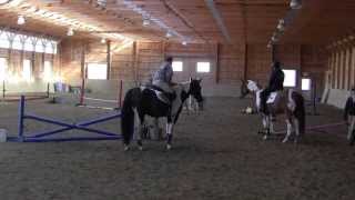 Steve Bostwick Riding a Students Horse [upl. by Prudhoe]