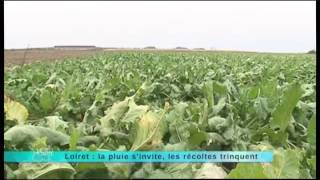 La pluie  reportage du 15 novembre 2013 [upl. by Lederer]