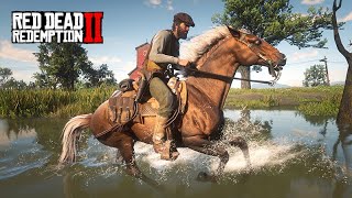 VIDA DE FAZENDEIRO  COMO PERDER TODO O SEU DINHEIRO DE UMA VEZ  RED DEAD REDEMPTION 2 [upl. by Lundgren]