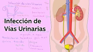 Infección de Vías Urinarias  Salud  Educatina [upl. by Neyr]