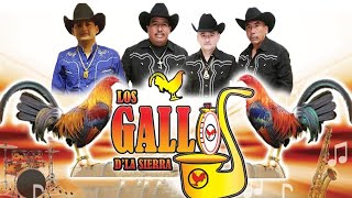 Los Gallos De La Sierra Exitos Del Oro  Puros Corridos Rancheras Mix [upl. by Cristiona]