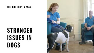 Stranger Issues in Dogs  The Battersea Way [upl. by Kyne]