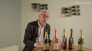 Les Crémant de Bourgogne vus par Edouard Cassanet [upl. by Okkin]