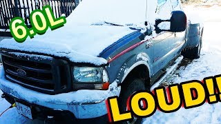 STRAIGHT Pipe 60 Powerstroke COLD Start So LOUD [upl. by Aivlis]