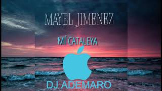 Mayel Jimenez  Mí Cataleya ✖ DJ ADEMARO [upl. by Yrojram]