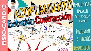 ACOPLAMIENTO EXCITACIÓN CONTRACCIÓN cardíaca Explicación Fácil y FármacosFisiología Cardíaca [upl. by Atival555]