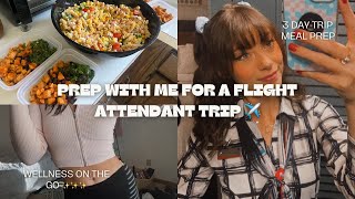 FLIGHT ATTENDANT TRIP PREP at home vlog 3 day trip meal prep packing [upl. by Gnohp]