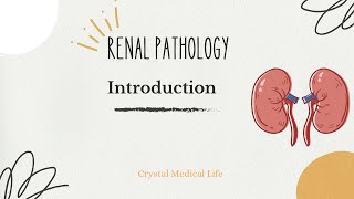 Renal Pathology Robbin’s  Introduction [upl. by Enimrej]