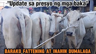 Presyo ng malalahing inahin at dumalaga pati ang mga barako at pangfattening [upl. by Arinaid]