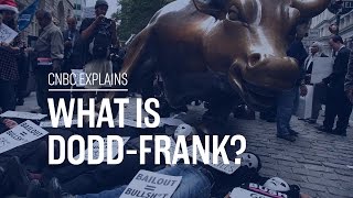 What is DoddFrank  CNBC Explains [upl. by Seiuqram849]