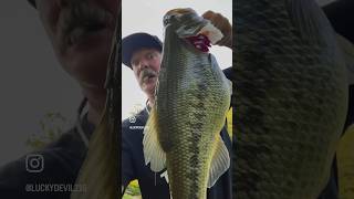 Senko Slam largemouthbass irespectfish fishing ohio home pond 2024 editing viralvideo fyp [upl. by Ahsiekrats]