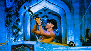 Timmy Trumpet  Tomorrowland Brasil 2024 [upl. by Gyimah]