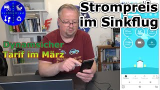 So haben wir mit dem dynamischen Stromtarif von Tibber unsere Stromkosten stark gesenkt Bilanz März [upl. by Malinde640]