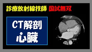 【診療放射線技師国家試験】 CT解剖 心臓 [upl. by Mazonson]