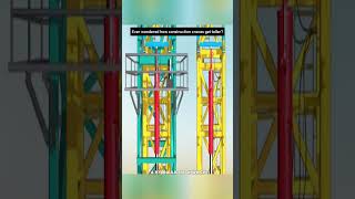 How Do Construction Cranes Get Taller  StepbyStep Crane Height Adjustment Explained [upl. by Lleznol]