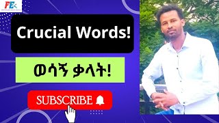 English  Amharic Lesson 04 Vocabulary [upl. by Halstead]