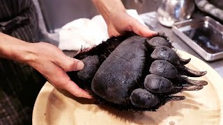 Japanese Food  GIANT BEAR PAW Tokyo Japan [upl. by Lawrence]