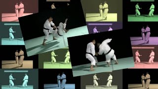 shorinji kempo  best embu performance  少林寺拳法 [upl. by Gebelein]