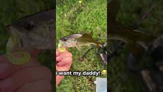 I want my daddy i want your daddy too fish [upl. by Elizabeth]