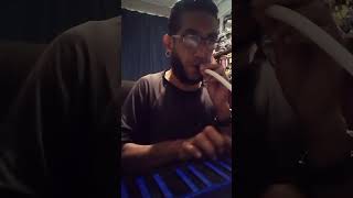 Toxicity  SOAD Melodica cover short toxicity soad melodicacover [upl. by Nivat682]