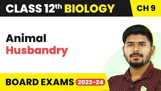 Class 12 Biology Chapter 9  Animal Husbandry Strategies for Enhancement in Food Production 202223 [upl. by Letniuq]