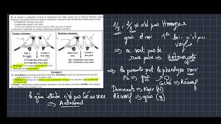 correction de lexercice les lois statistique génétique Mendélienne [upl. by Nerad984]