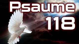 Psaume 118  Psaumes Chapitre 118 HD [upl. by Phylis]