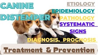 Canine Distemper In Detail Etiology Pathogenesis Systemic signs diagnosis lesions prevention [upl. by Angi]