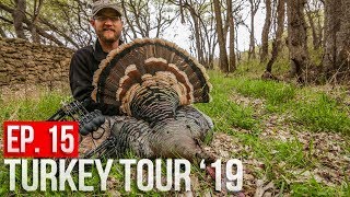 KANSAS BOW BIRDS  Best BROADHEAD for Turkeys [upl. by Merwyn]