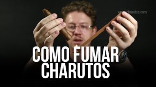 Como Fumar um Charuto  Como Degustar um Charuto  Degustando Charutos [upl. by Copp588]