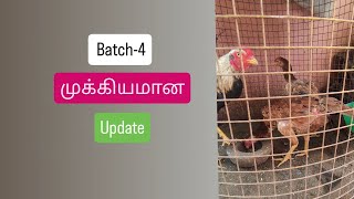 Batch 4 முக்கியமான update in tamil [upl. by Raimes]